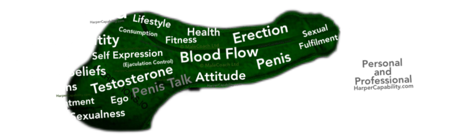 night vision erect penis overlayed with words showing all the erection Inputs